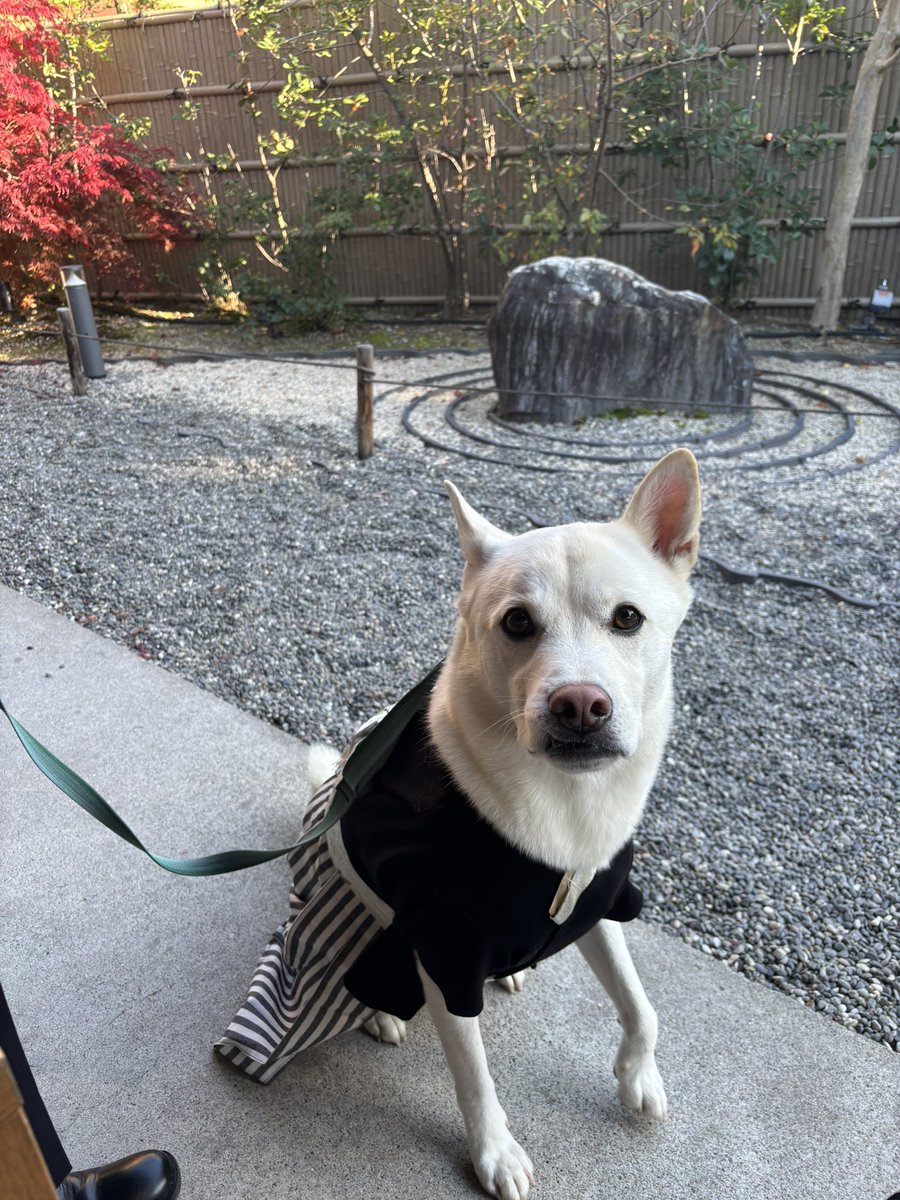 龍ちゃんズとよっちゃんみっちゃん (@ryuchan123bro) / Posts / X