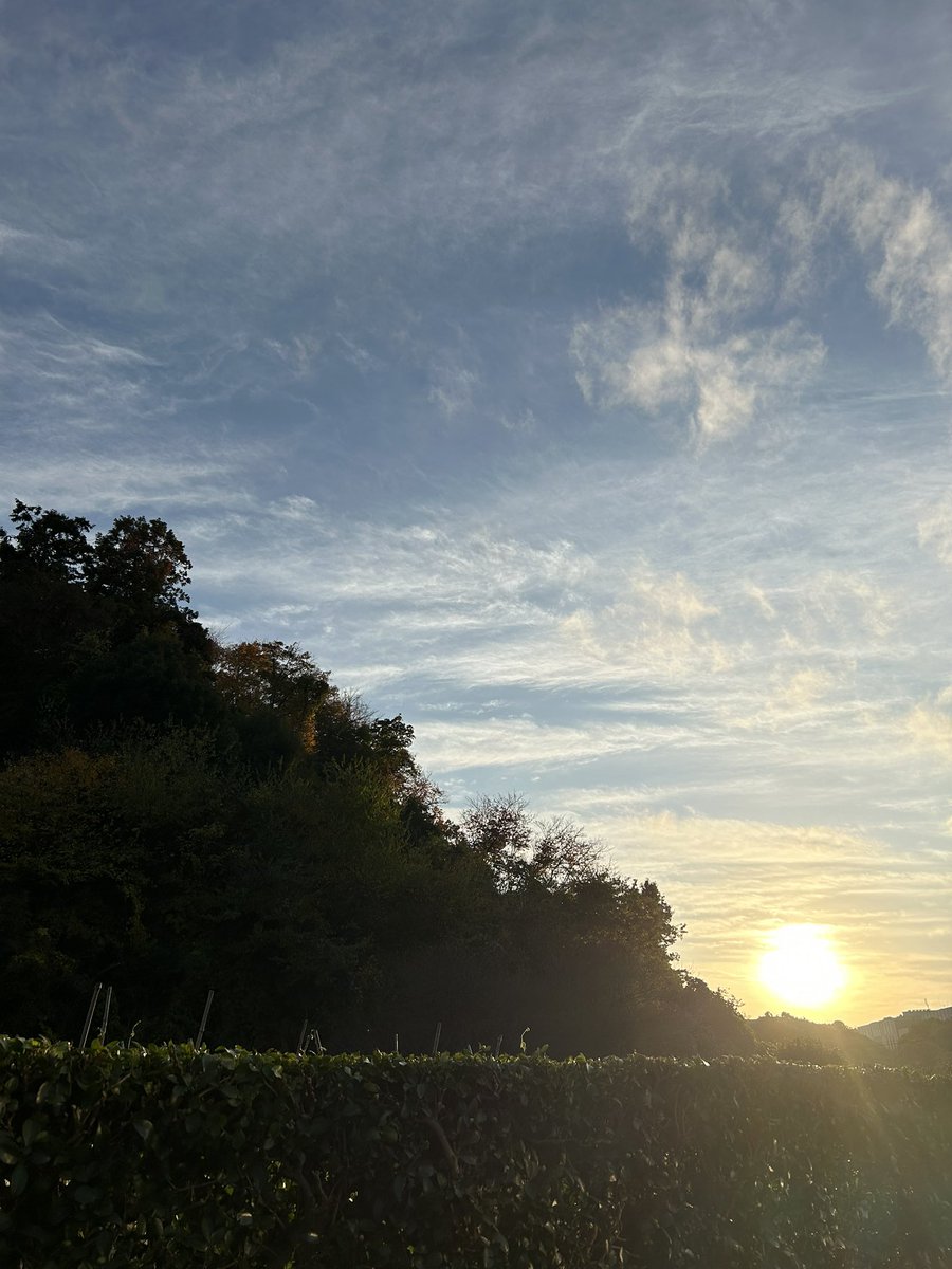 h_i_r_o_m_i_'s tweet image. お散歩