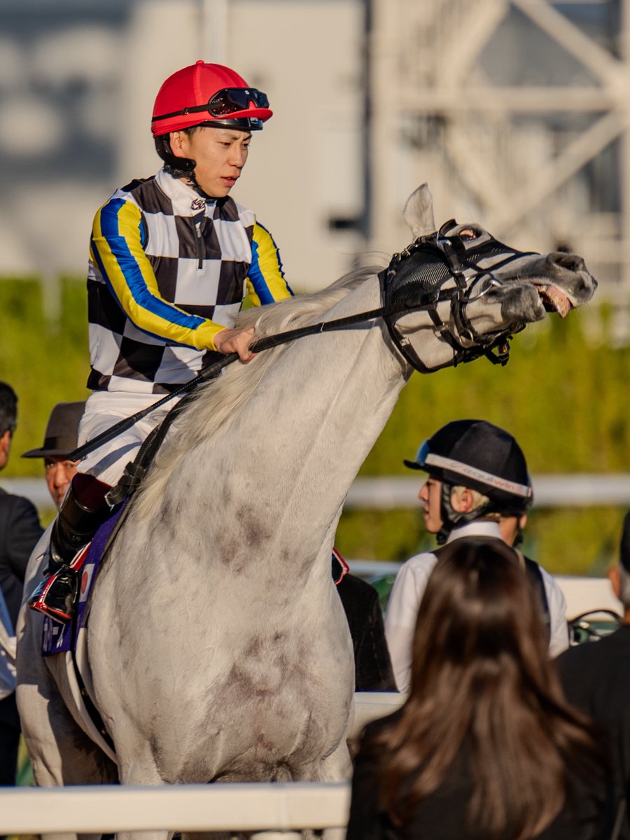 mosan_tk's tweet image. ははーんさてはオメー、ゴールドシップ産駒だな😳
#ガイアフォース #キタサンブラック産駒 #マイルCS