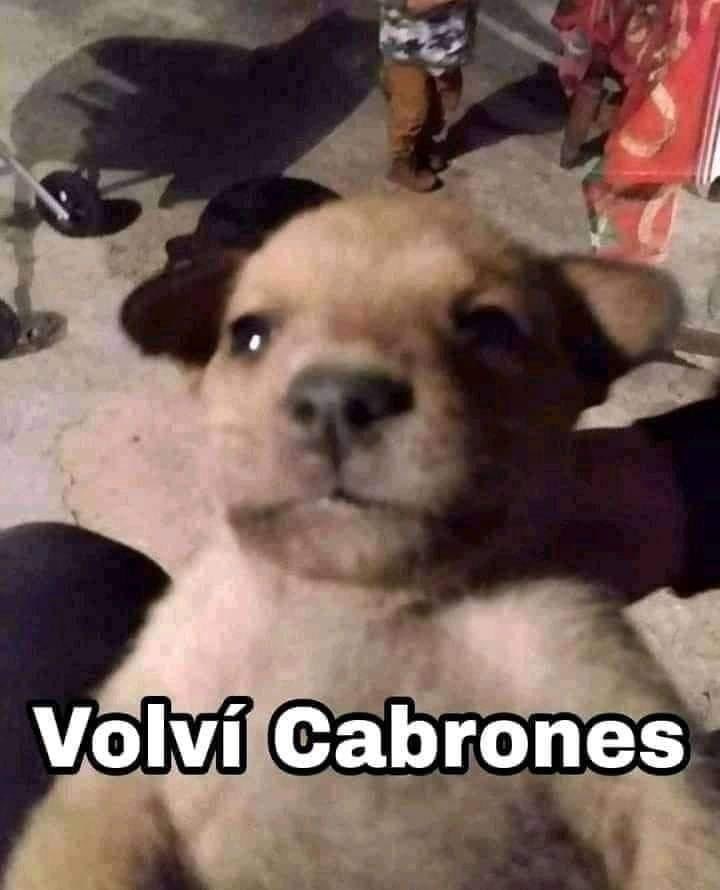 AlanMUrib's tweet photo. MAX EN ESTE MOMENTO: https://t.co/NndTv99wYK