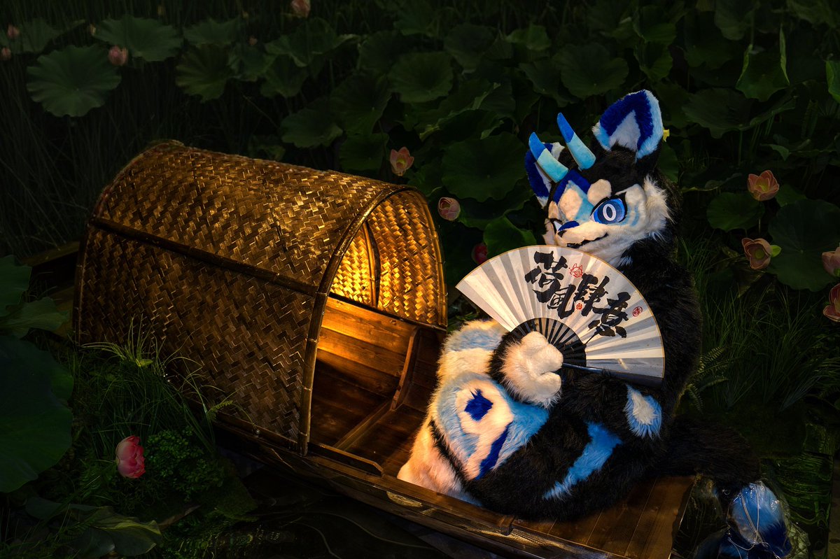 玄泽 tweet media
