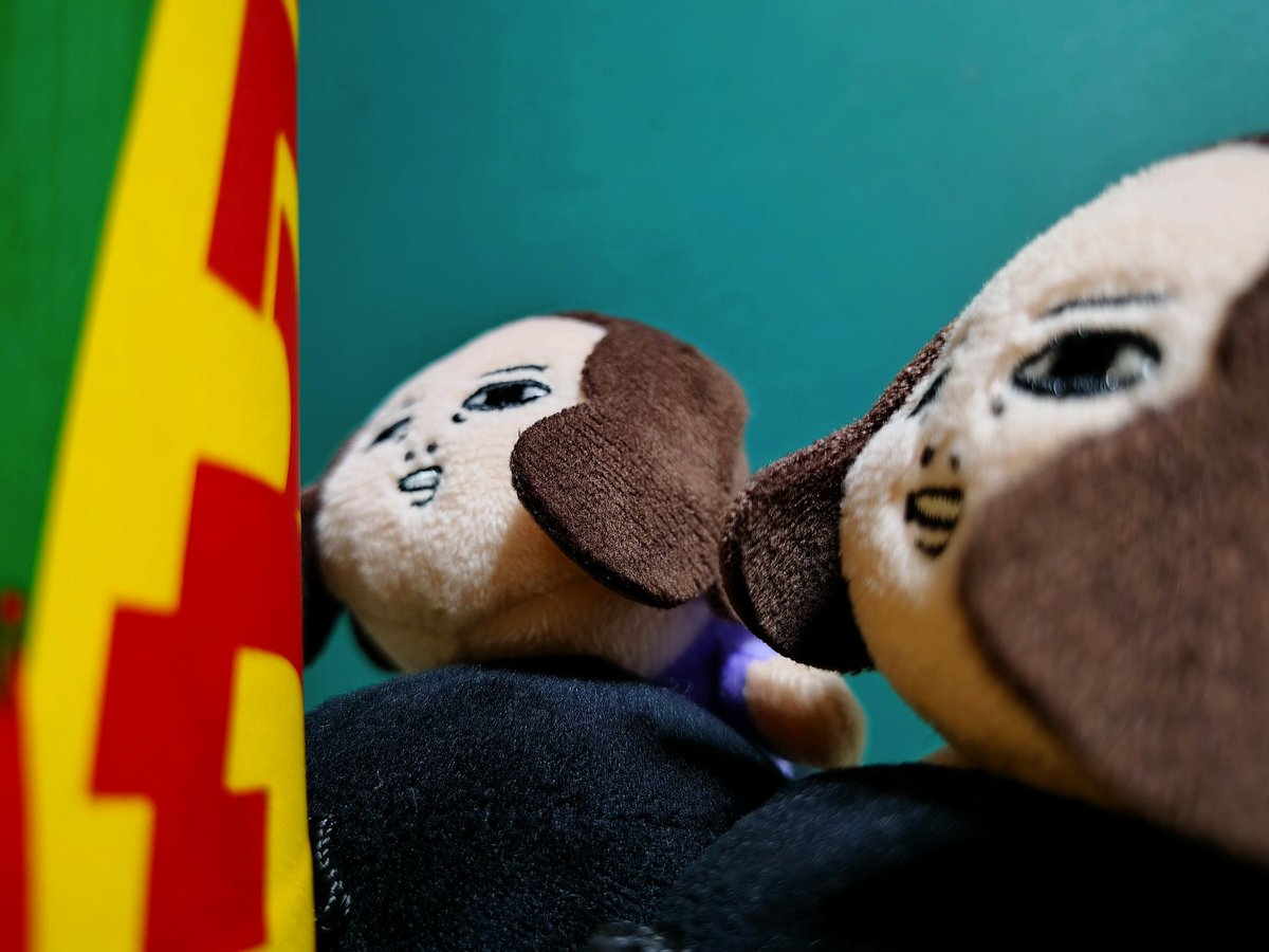 たっちゃんです☺︎ たっちゃん@350Z (@tatata933) / Posts / X