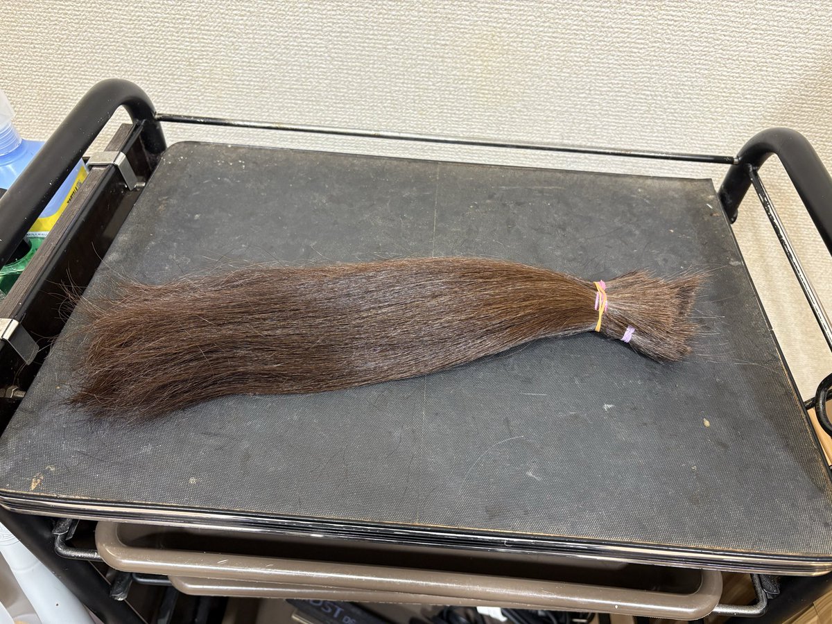 poohko29's tweet image. 日頃人の血液から作られる血液製剤のお世話になっているけど、お返ししようにも献血できない。
臓器移植の同意はしてるものの死ぬまでは役立つものもなく。
唯一髪が多くて伸びるの早いからせめてこれぐらいはできるかなと、3回目のヘアドネーション。