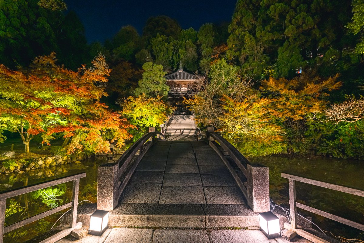 man_tac's tweet image. 京都知恩院さんの秋のライトアップ✨🍁
2025.11.20撮影

#京都よきかな 
Leica SL2-S x SIGMA 16-28mm F2.8 DG DN | Contemporary, 28-105mm F2.8 DG DN | Art