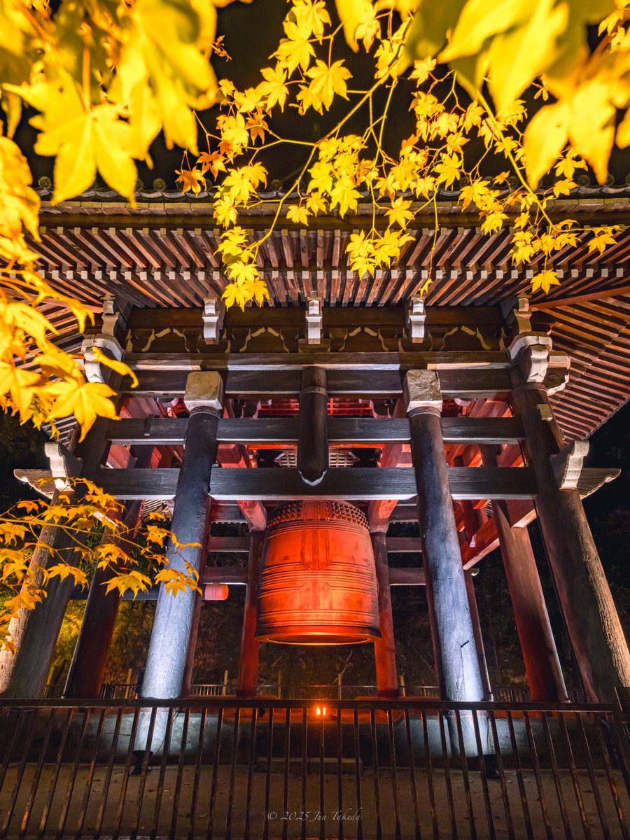 man_tac's tweet image. 京都知恩院さんの秋のライトアップ✨🍁
2025.11.20撮影

#京都よきかな 
Leica SL2-S x SIGMA 16-28mm F2.8 DG DN | Contemporary, 28-105mm F2.8 DG DN | Art