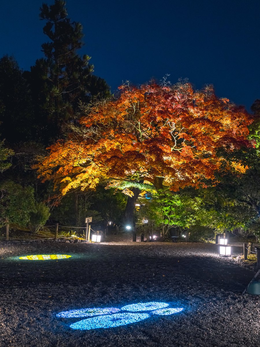 man_tac's tweet image. 京都知恩院さんの秋のライトアップ✨🍁
2025.11.20撮影

#京都よきかな 
Leica SL2-S x SIGMA 16-28mm F2.8 DG DN | Contemporary, 28-105mm F2.8 DG DN | Art