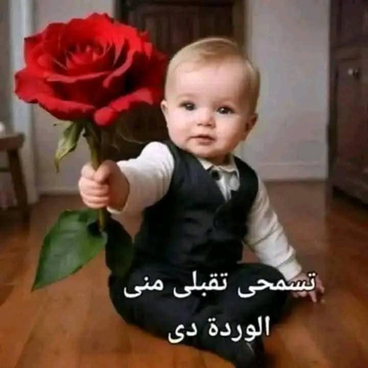 Alialgerois Aliloux tweet media