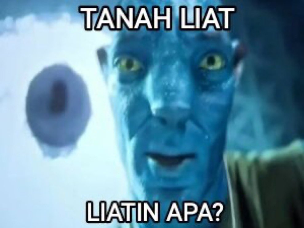 qrivasi's tweet image. 