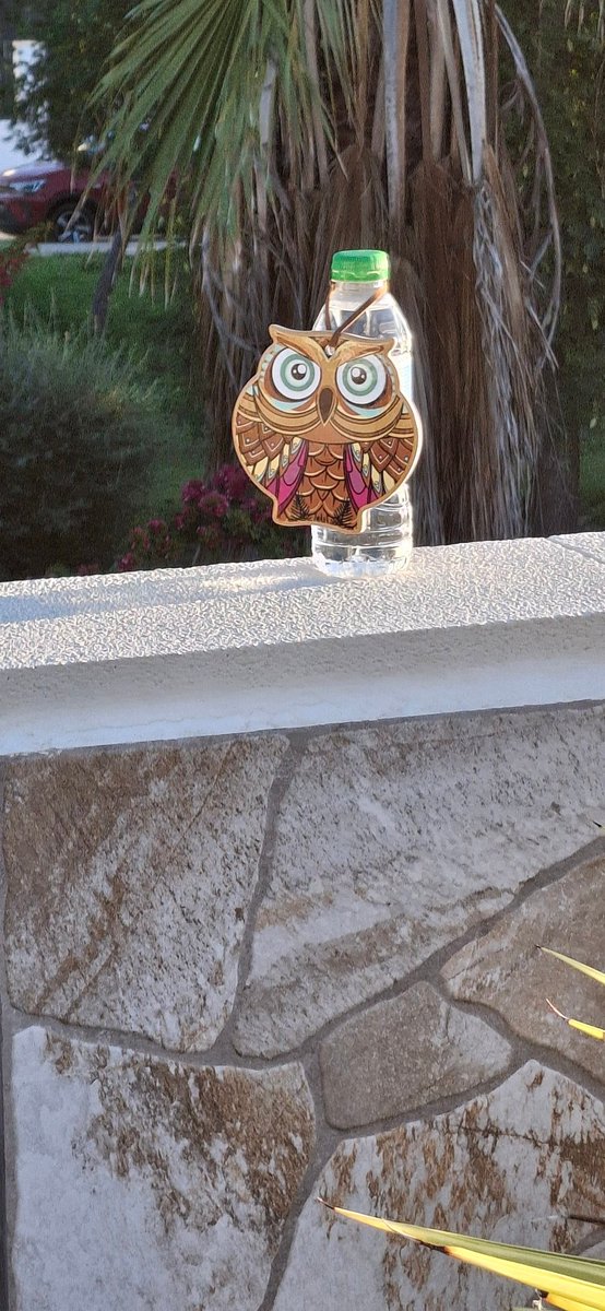 KatherineRoot's tweet image. My Wednesday mate thought it was hilarious to put this on my wall this morning!!! 🤢🐷 #Sheffieldunited #steelcityderby #twitterblades #sufc #COYAWW