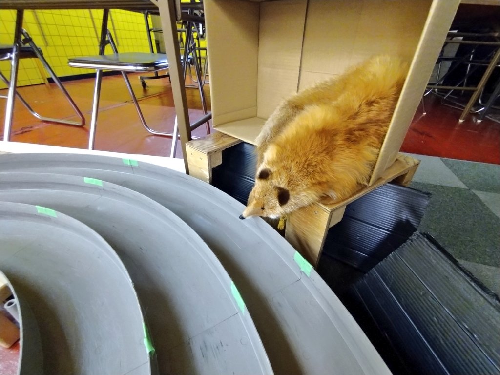 コース組み替え完了いたしました！
12月の大会はこちらのレイアウトで開催します。(年末の全員集合大会の際は小変更予定です。
皆様のご来店お待ちしております✨
#ミニ四駆
#mini4wd