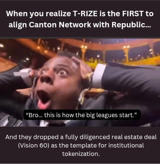 Profitpilot5's tweet image. Institutions wanted a path,@trize_io built the map.
$RIZE just delivered the first Canton-native real estate template with Republic.

The standard starts here.
#TRizer ⚡