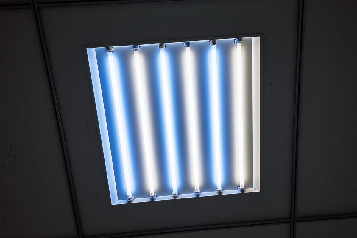 owashiyosuke's tweet image. 色温度の寒暖差を打ち消し合っていました。

Sigma BF /
Sigma 20mm F2 DG | Contemporary

#SigmaBF