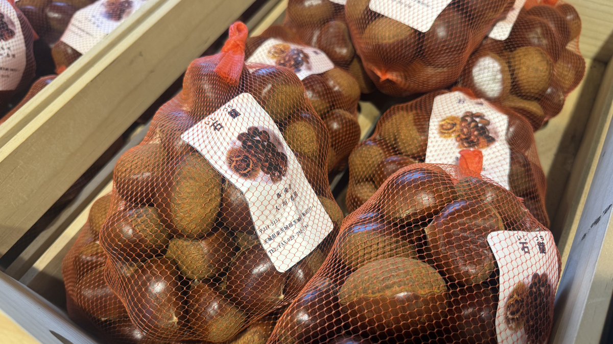 友部サービスエリア上り線🚗で秋の名物になった〝大垣農園〟の熟成栗