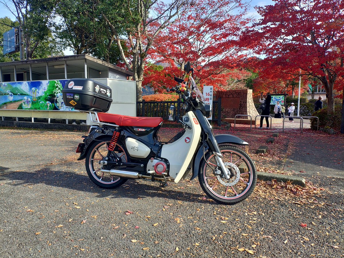 JetvtolSss's tweet photo. @cubsanpo 散歩日和でした https://t.co/LMck9qxqH1