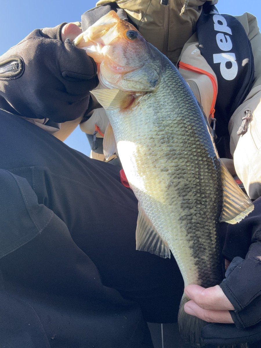 んー、なかなか難しかったぞ。#津久井湖