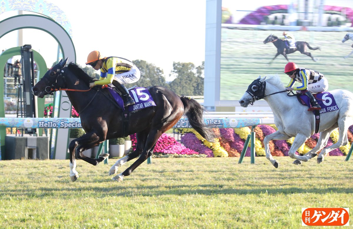 gendai_keiba's tweet image. ジャンタルマンタル、高野調教師に〝右手前のままでしたね？〟とたずねると、
「余裕がある時は替えないものですからね。引き揚げてきた時にはもう息が入っていました。凄い馬です」
川田将雅騎手のムチも左からの一発のみ。余裕ありの強い競馬でした。
#ジャンタルマンタル #川田将雅
#マイルＣＳ