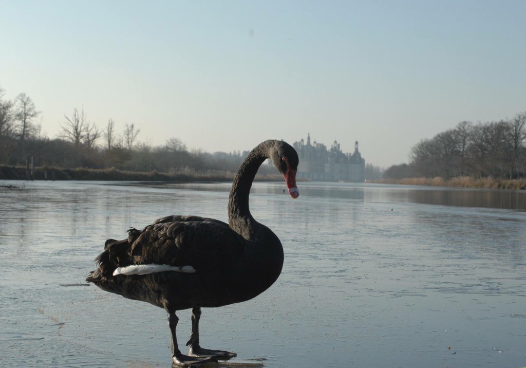 domainechambord's tweet image. Bonjour @XFrance et bon dimanche 
🏰🥶