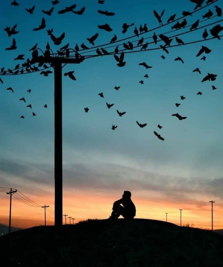 الرحيــل .. و .. اللــقــاء
كــلمــتان متــساويــتــان ... فــي عــدد الأحــرف

  كل مــنهما يحــدث ضــجة بنـــفــس الحــجم فــي   
           الـــروح

             لكـن فــي إتجــاهــين مــختلــفين ...
#صباح_الخير