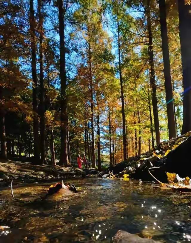 weizai84934144's tweet image. 人少景美！