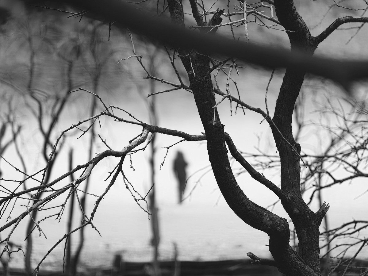 © 2025
➤ Highland 
Camera: OPPO Find 9X Pro
Mode: Hasselblad Hi-Res 50 MP
#hengki_koentjoro_images #OPPOFindX9Series #ShotonOPPO
<a href="/OPPOIndonesia/">OPPO Indonesia</a>