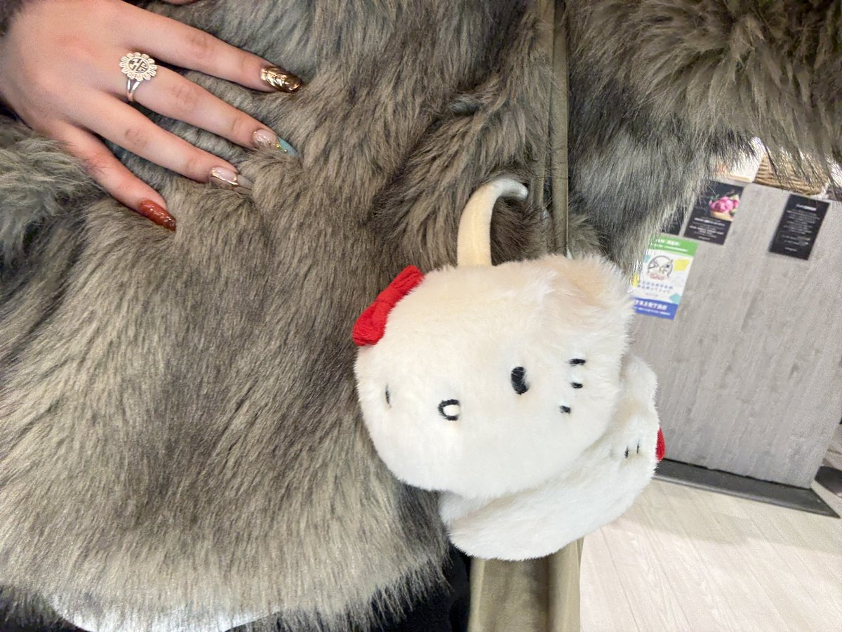 かわいいのゲットしたぁ❣️(=^x^=)❣️