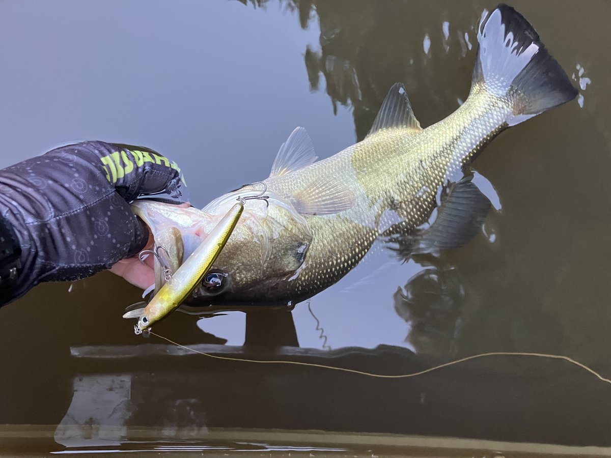 缶 (@can2low) / Posts / X