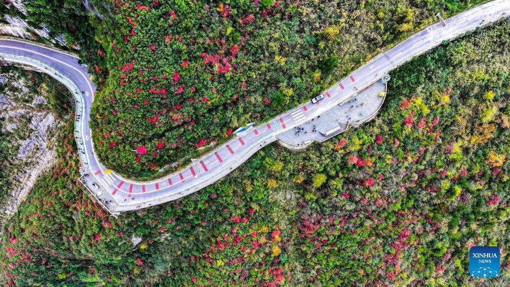 Tourists are visiting a scenic spot near the Wuxia Gorge (one of