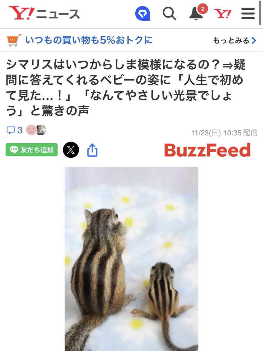 しまりすページ $_57.JPG?set_id=880000500F