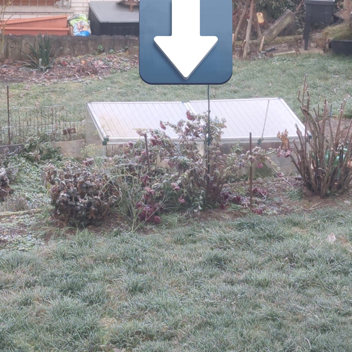 Die Schildkröten 🐢 tweet media