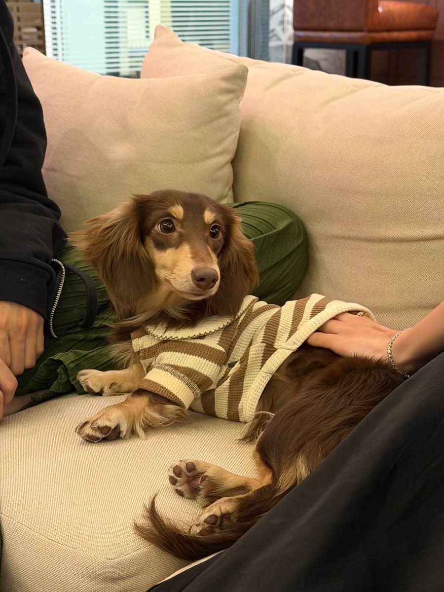 LEO LOVE AND LOLA "L" FML 🐱🐶🤍