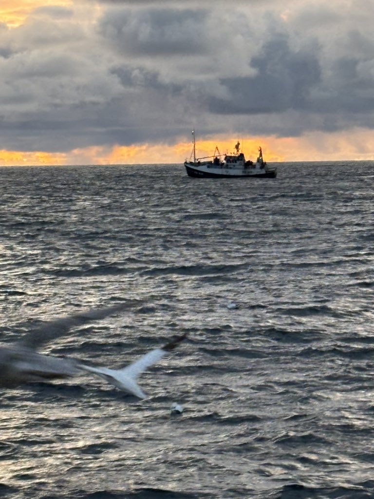 John T Stephen tweet media