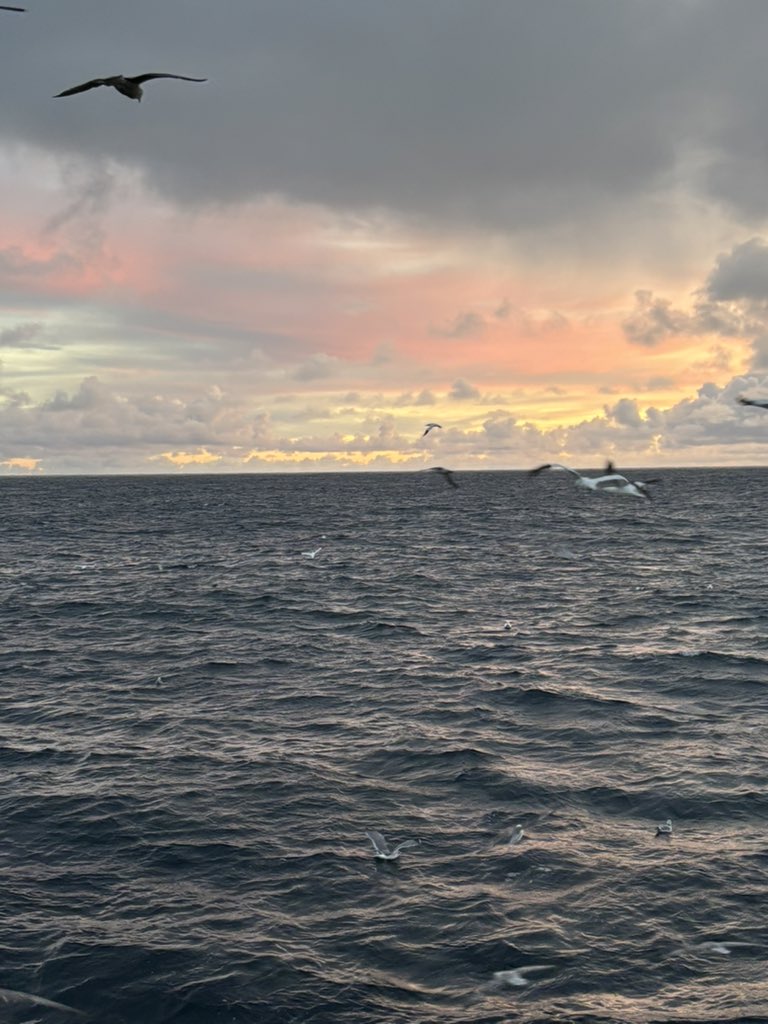 John T Stephen tweet media