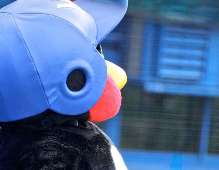 むー子。 tweet media