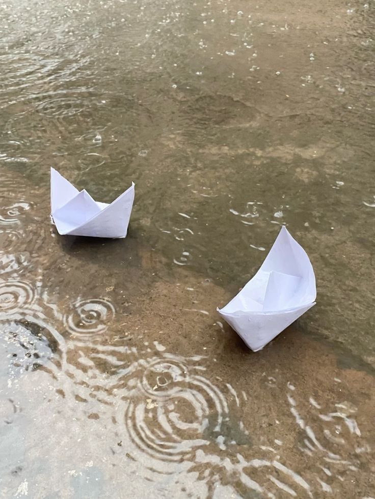 Lap_surgeon's tweet image. मेरी कस्ती!😍
Share your photos of Boats/ships!