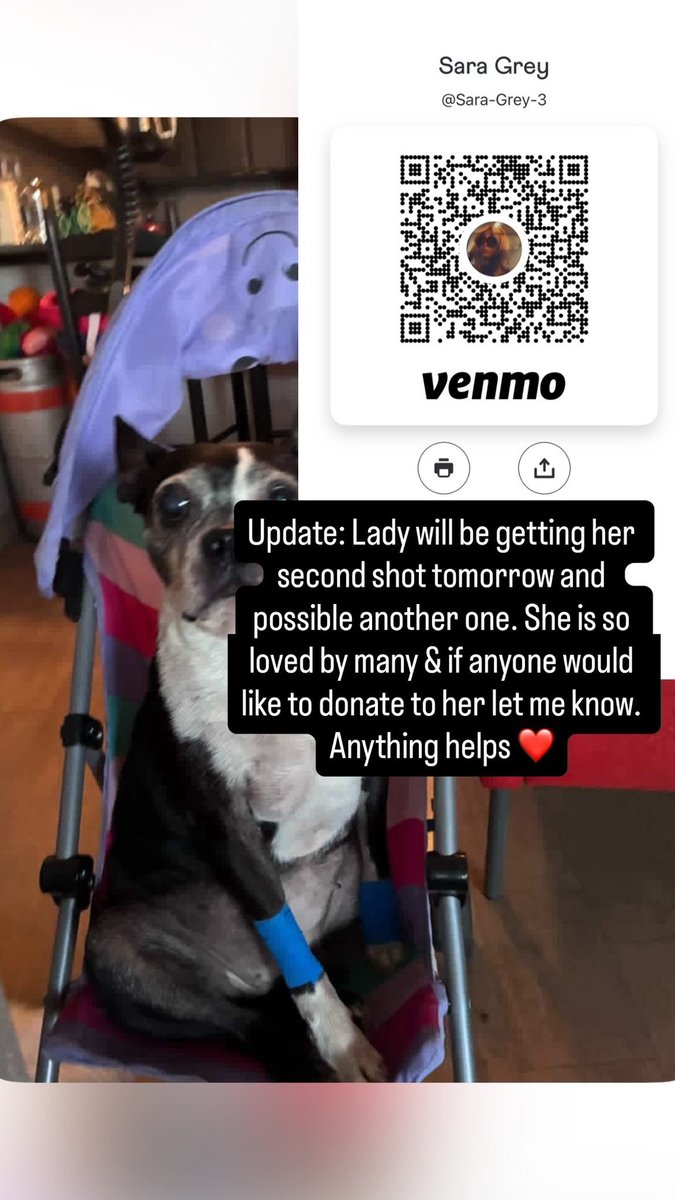 Sara Grey (@msrooseveltrow) on Twitter photo 