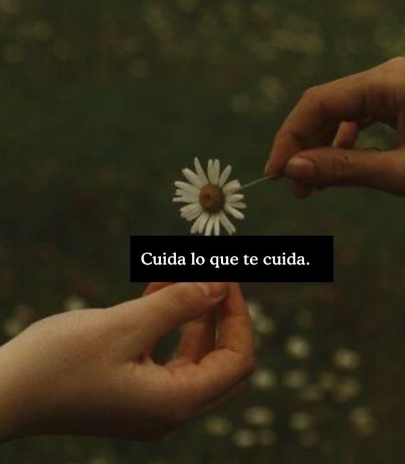 Cuida lo que te cuida....