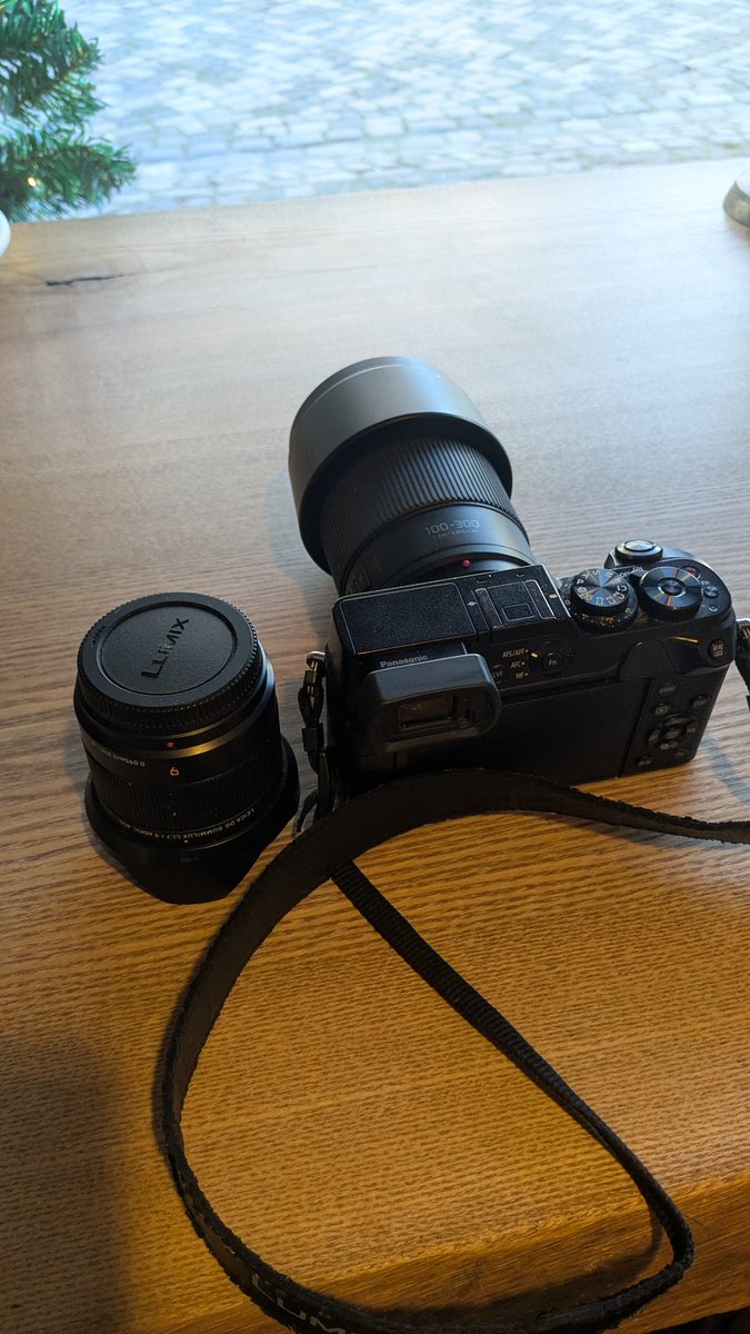 rubberduckweb's tweet image. Eichhörnchenbrennweite anscheinend umsonst zum Frühstück mitgenommen