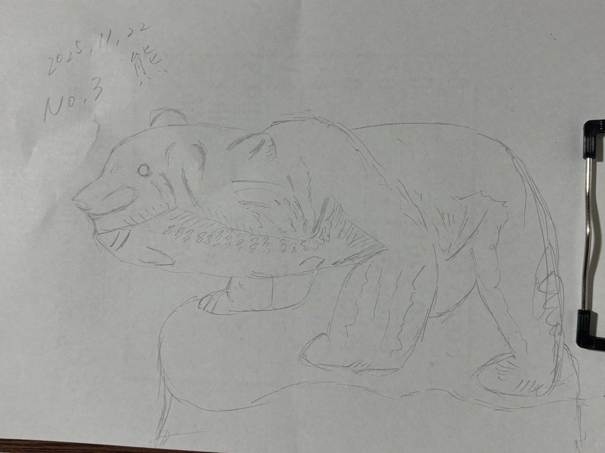 alex_enjoylife1's tweet image. 昨日の今日の熊　三日目

昨日投稿するの忘れたため今日ポスト。

初日よりも明らかに上手くなってる気がする🤔

10分以内で描いてるけど10分って意外と長いんだね！