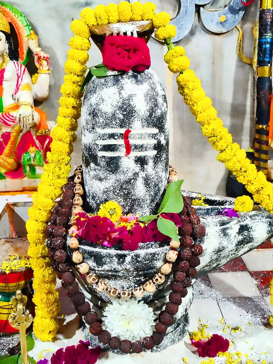 शिवोऽहम् शिवोऽहम् शिवोऽहम् 😇🤗 #jaimahakal 🙏 #omnamahshivaya #harharmahadev #harharshambhu #shiva #lordshiva #LordShiv #shiv  #bholenath #Shankar #bholebaba #SpiritualJourney #SpiritualAwakening #Mahakaleshwar #mahakal #devotion #Devotional #devotees #OmNamahShivay #devotee