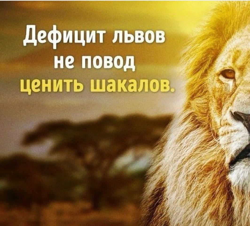 b_bratstvoBron's tweet image. 