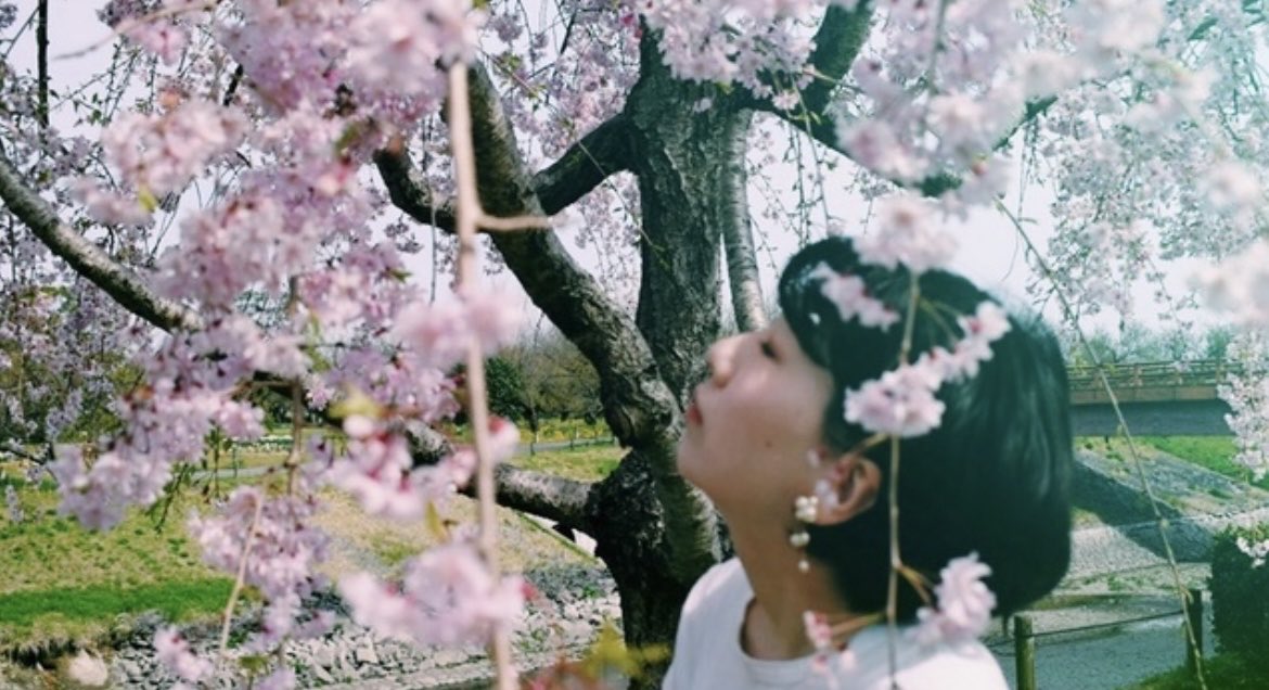 s2sakura08's tweet image. 春が待ち遠しくなる寒さだね