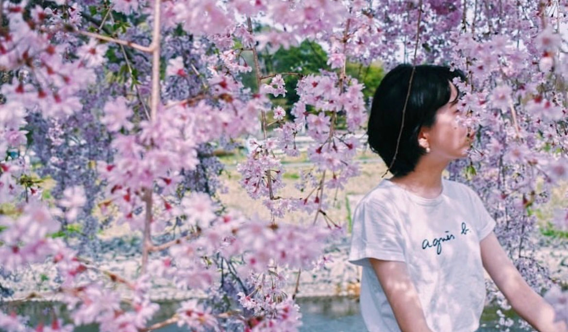 s2sakura08's tweet image. 春が待ち遠しくなる寒さだね