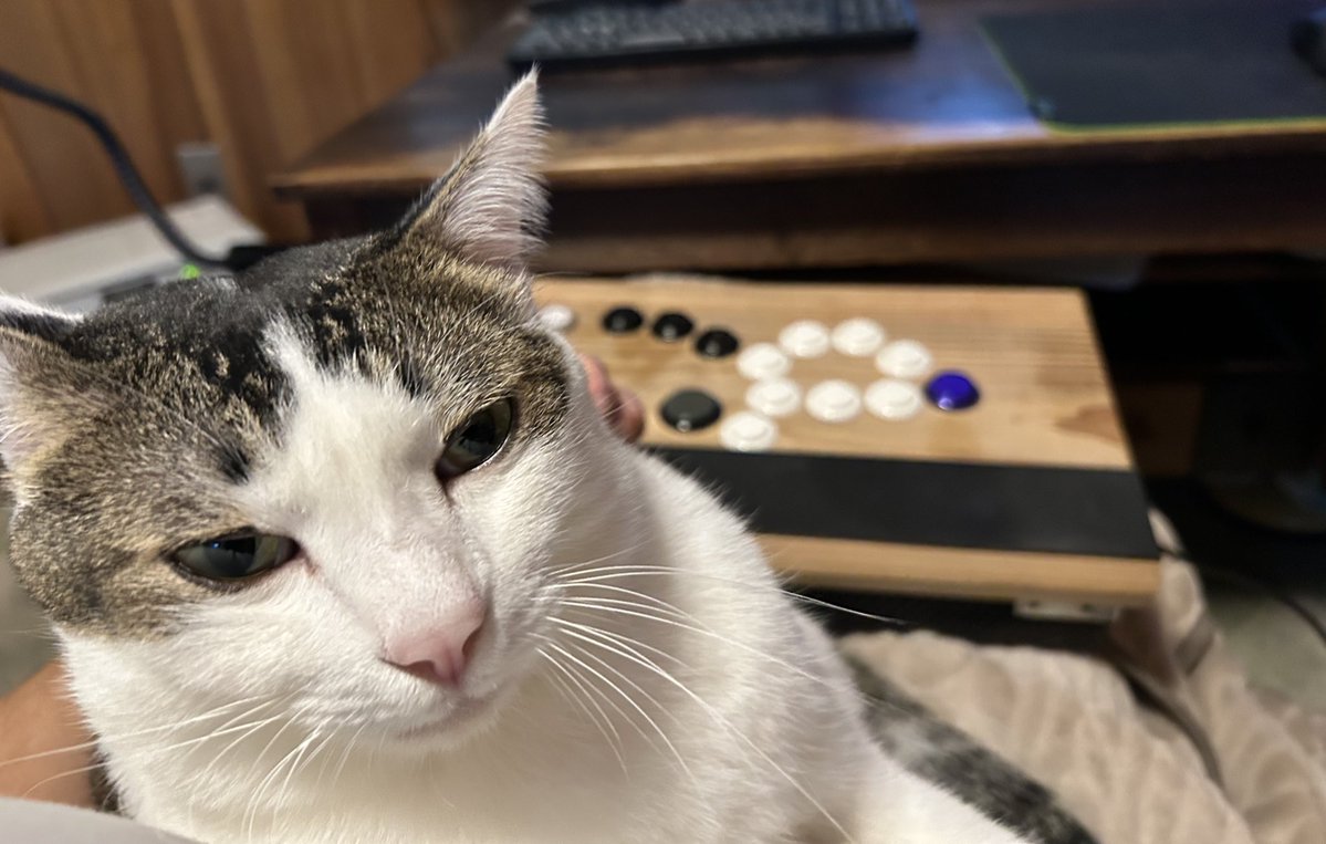 SANROKU_LABO's tweet image. 猫を抱きながら2週間ぶりのランクマ。
たまらん！