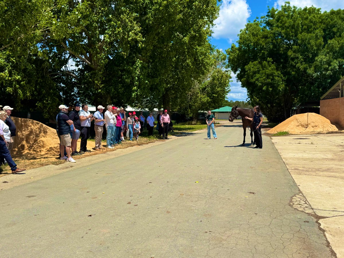 Champion T'breds tweet media