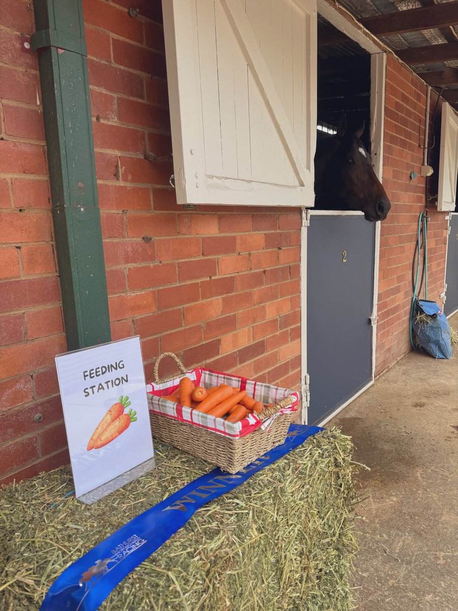 Champion T'breds tweet media