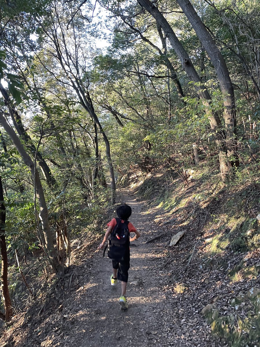 KODY_creates's tweet photo. 本日、快晴につき
気持ち良ーい1日でした〜。

岐阜城まではロープウェイ
下山は自力で降りたけど
想像以上に過酷で下り甲斐が
ありました！ https://t.co/jAWL2rDOB2