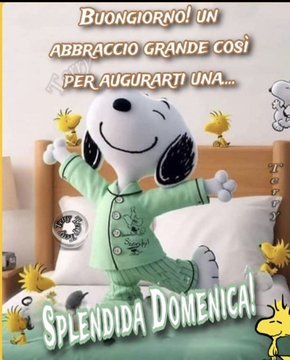 Giny nel regno delle fate (@giny84162417) on Twitter photo 