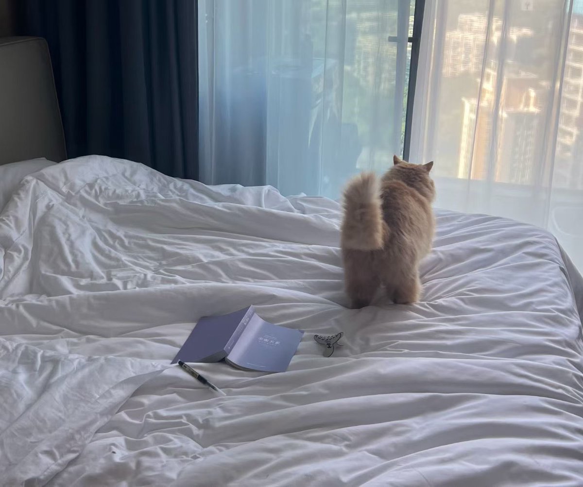 Ada902213's tweet image. 响鼓不用重锤