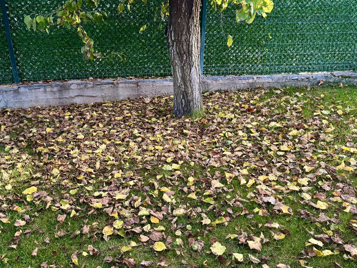 Mevsim değişir akdeniz olur gülümse.