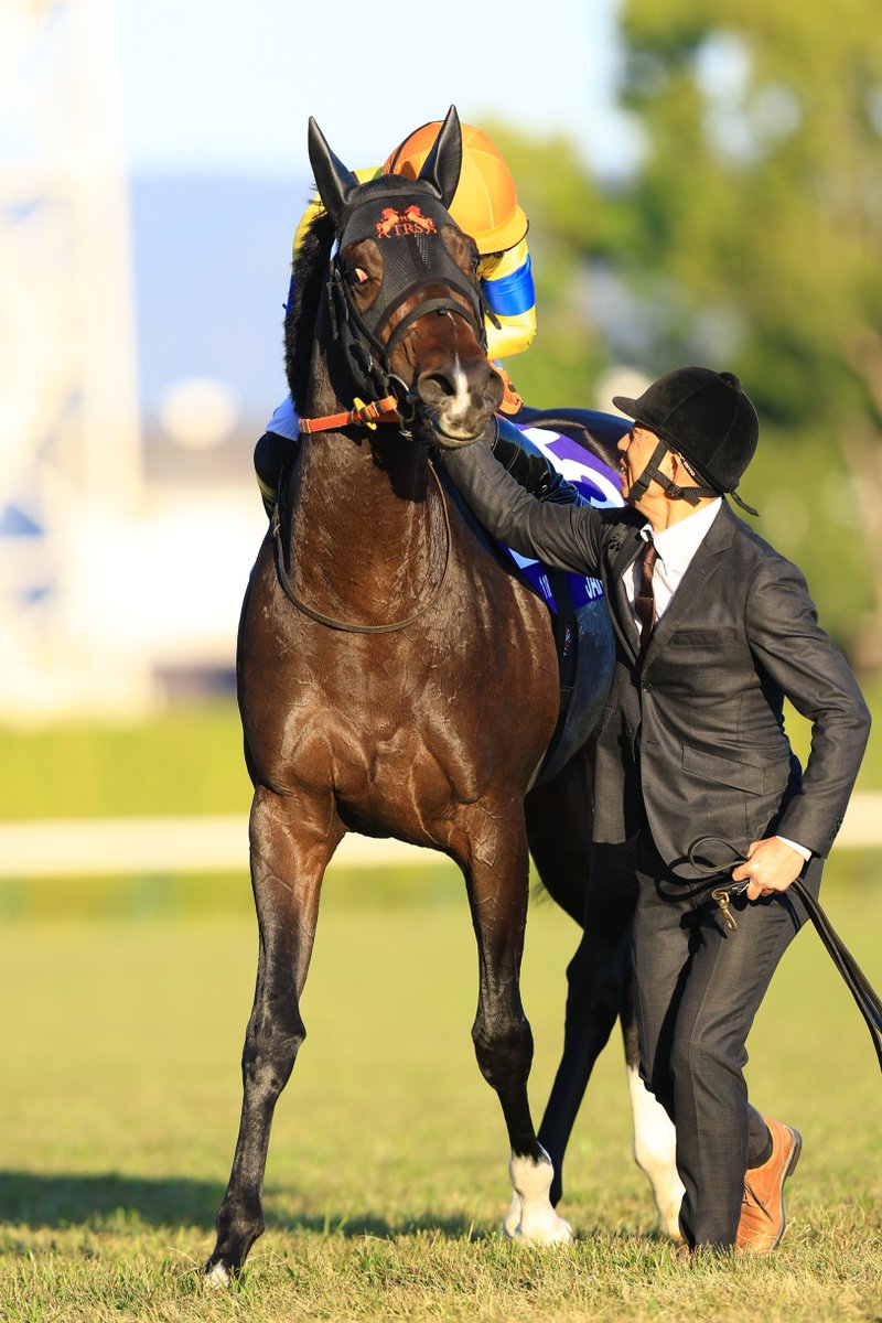 JRAVAN_info's tweet image. 史上初、歓喜のマイルG1完全制覇！
#マイルCS ＃ジャンタルマンタル